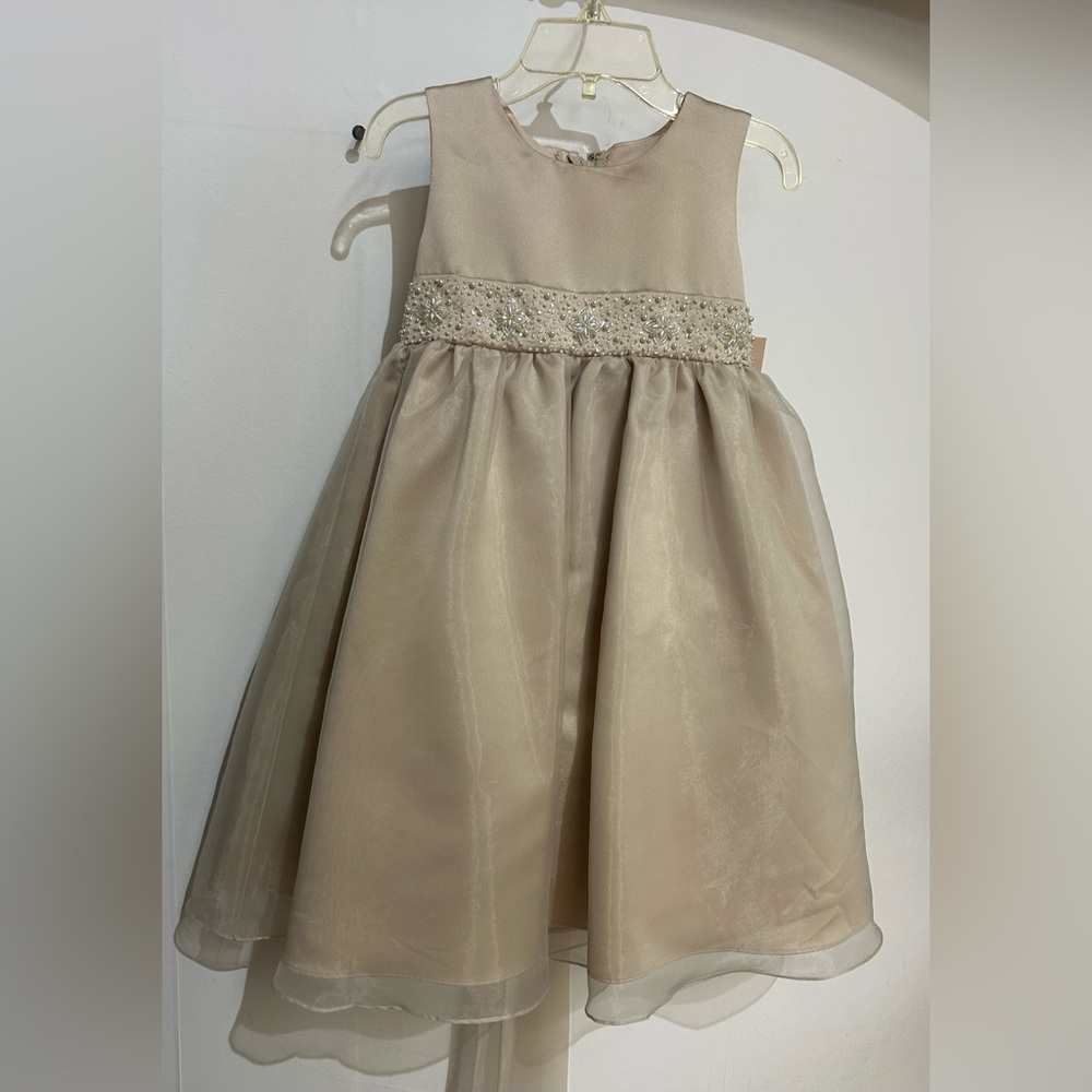 Elegant Champaign Kids Dress